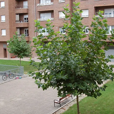 Iraipe Gorbea Auto Check-in 酒店 维多利亚-加斯特伊兹