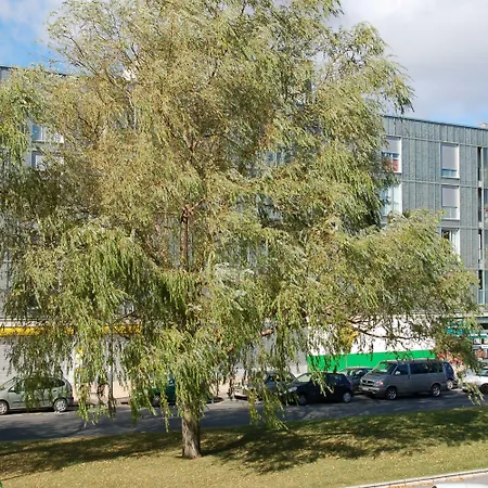 Iraipe Gorbea Auto Check-in