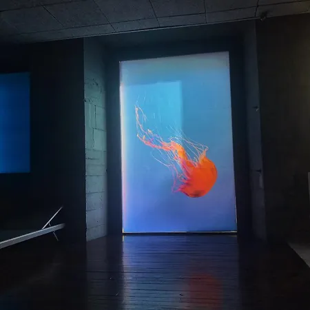 Iraipe Gorbea Auto Check-in Hotel